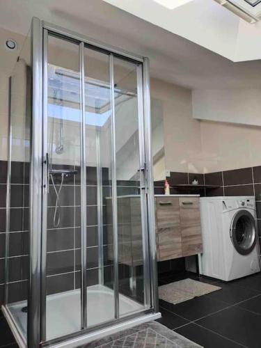 une salle de bain avec douche et machine à laver dans l'établissement L'appart des familles sportives!, à La Bresse