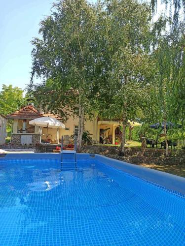 a large blue swimming pool in front of a house at Dunavska Priča in Negotin