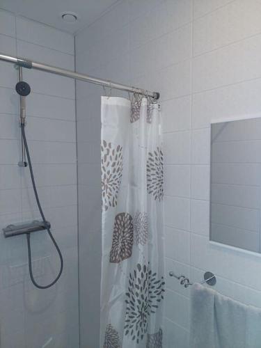 una ducha con cortina de ducha en un baño en Armas 2-toaline korter, en Tartu