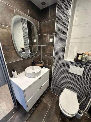 une salle de bain avec un lavabo, des toilettes et un miroir dans l'établissement Sublime maison de 2 étages avec cour, à Chilly-Mazarin