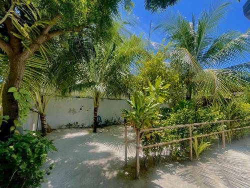 a garden with palm trees and a fence at La Solara Villa in Ukulhas