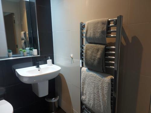 Koupelna v ubytování Spacious 2-bedroom apartment near Ponds Forge, Crucible Theatre and Sheffield Universities