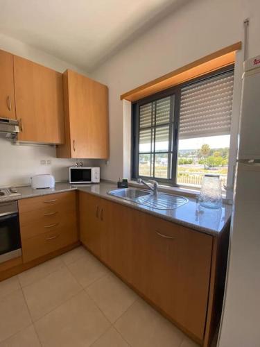 a kitchen with wooden cabinets and a sink and a window at Porta 28 in Quinta do Anjo