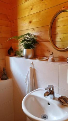 a bathroom with a sink and a mirror at Ökologisches Hideaway mit Sauna und großem Garten in Seßlach