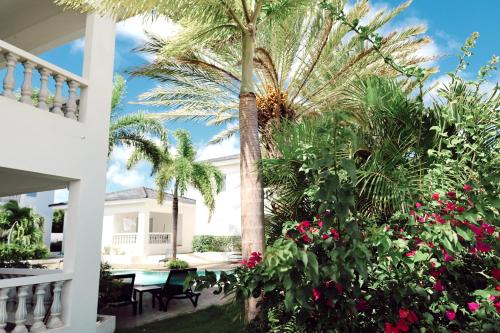 Jardin de l'établissement Palm Crest Curacao 150D