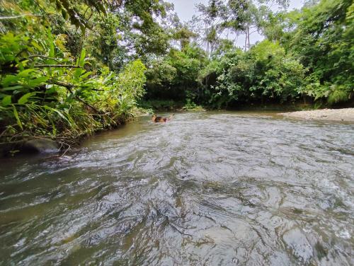 Naturlandskabet i nærheden af feriehuset