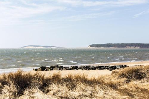 a group of animals laying on the beach at Across from Mayo beach walk to downtown in Wellfleet