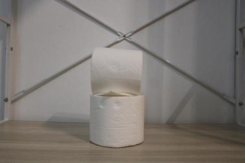 a roll of toilet paper sitting in a room at Le Moringa in Baie-Mahault