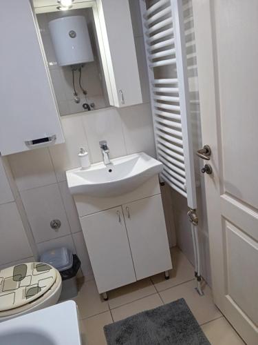un baño con lavabo e inodoro en Dimitra Stan na dan, en Šabac