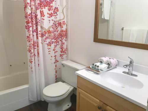 a bathroom with a toilet and a sink and a shower curtain at Duncan Motel in Duncan
