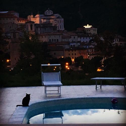 a black cat sitting next to a chair and a pool at Hotel Villa Stella in Cascia