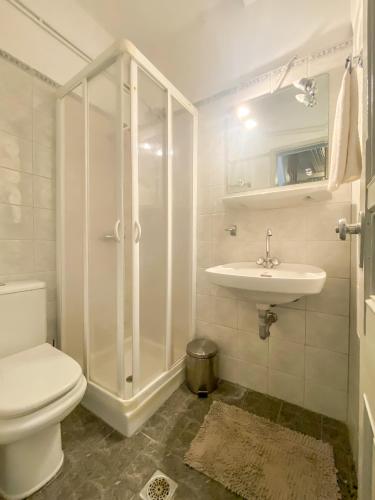 a bathroom with a shower and a toilet and a sink at V. Molova, Molyvos, Lesvos in Mythimna