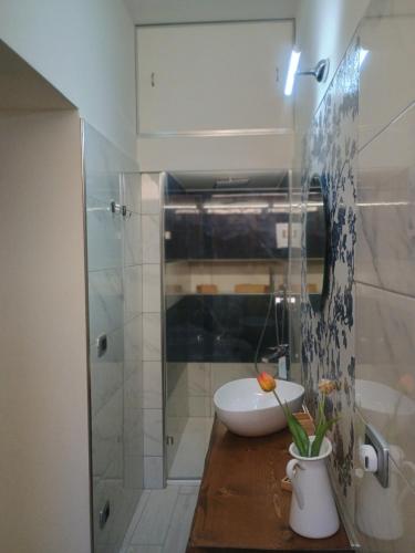 Un baño con lavabo y ducha de cristal. en Al Vico Bartoli Suite Room, en Mazzarino
