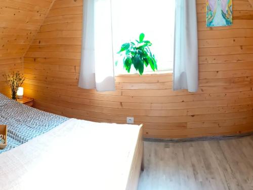 a bedroom with a bed and a window with a plant at Cottage near Baltic Sea with Horse Riding in Zdrada