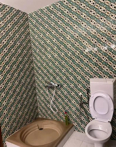 a bathroom with a toilet and a wall with a wallpaper at Maison La rose 1 in Mezraya
