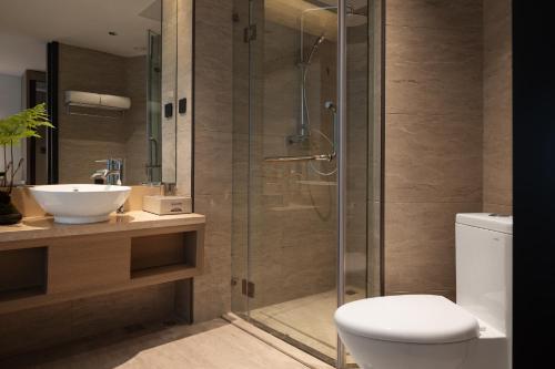 郑州新郑国际机场BlueVisual Hotel Zhengzhou Airport的带淋浴、马桶和水槽的浴室