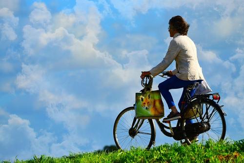 a woman riding a bike with a dog in a basket at Mon Petit Cottage - B&B and Guest House in Bunclody in Bunclody