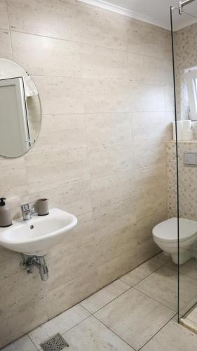a bathroom with a sink and a toilet at Marginimea Sibiului - Pensiunea Darian & David in Orlat