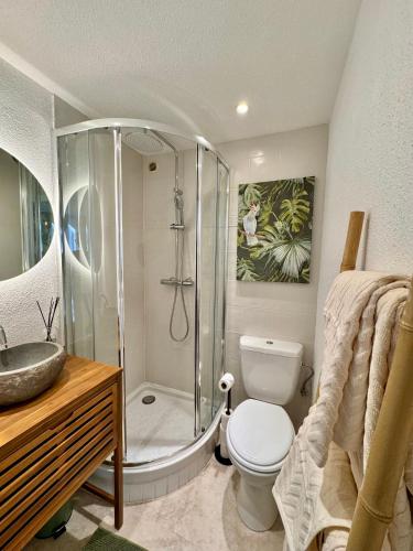 une salle de bain avec une douche, des toilettes et un lavabo dans l'établissement Studio cosy UBUD plein centre Thonon, débarcadère belvédère, à Thonon-les-Bains