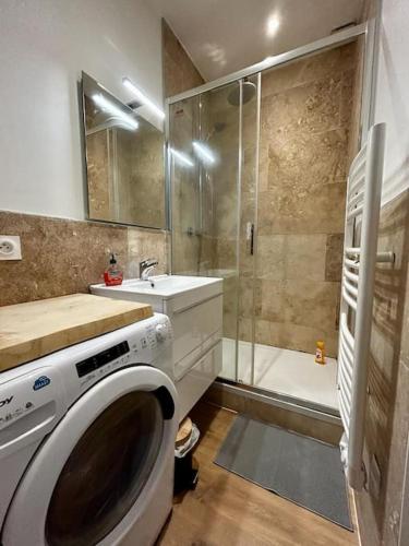 une salle de bain avec une machine à laver et un lavabo dans l'établissement Ravissant T3, calme et central, à Valence