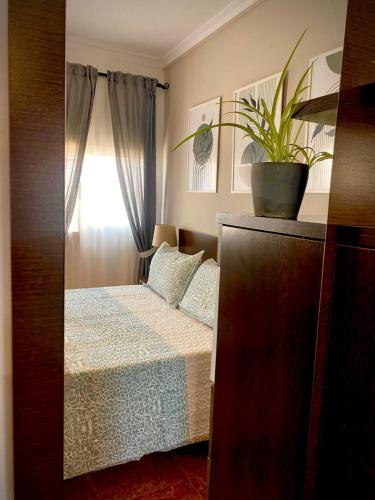 a bedroom with a bed and a potted plant at Villasultana 1 in Chipiona