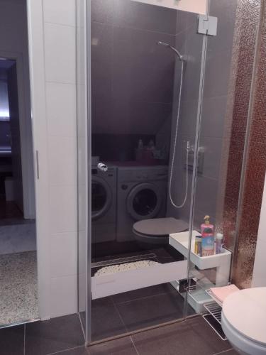 Koupelna v ubytování Apartman Breza