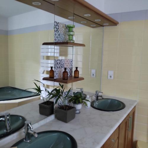 une salle de bain avec deux lavabos et un grand miroir dans l'établissement Monestiés le refuge de la treille, à Monestiès