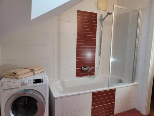 a bathroom with a washing machine and a shower at apartmentHAUSmannstätten in Hausmannstätten