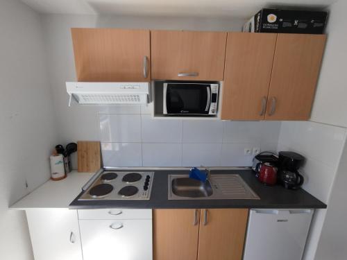 une petite cuisine avec une cuisinière et un micro-ondes dans l'établissement Apartamento AUÑAMENDI Pyrénées, à La Pierre Saint Martin