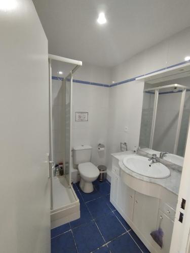 une salle de bain blanche avec des toilettes et un lavabo dans l'établissement Apartamento AUÑAMENDI Pyrénées, à La Pierre Saint Martin