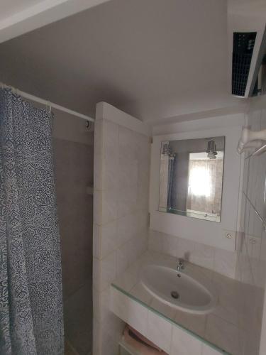 une salle de bain avec un lavabo et un miroir dans l'établissement Appartement calme en rez de villa avec jardin, à Vence