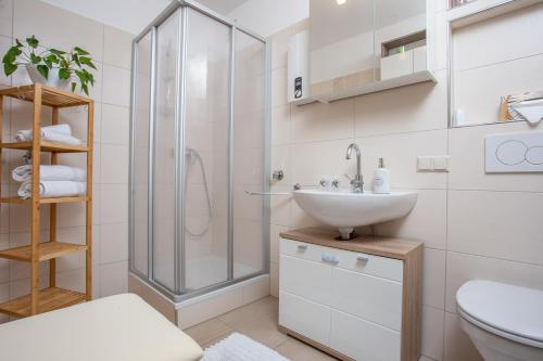 Schnelli Appartement Schladming photo 3