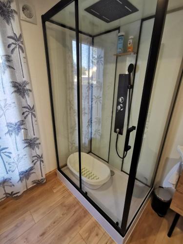 - une cabine de douche avec toilettes dans la chambre dans l'établissement Kaz KaRé, à Vinon-sur-Verdon