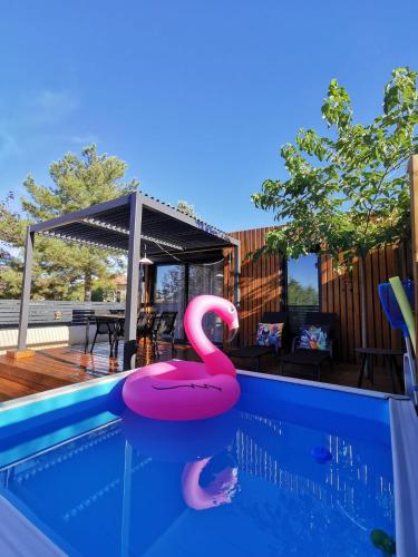 une piscine avec un cygne rose dans l'eau dans l'établissement Kaz KaRé, à Vinon-sur-Verdon