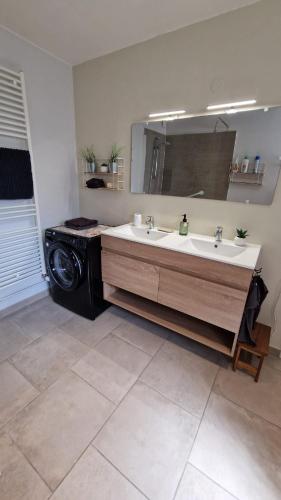une salle de bain avec un lavabo et un grand miroir dans l'établissement Le Grand Bourgeois, à Appoigny