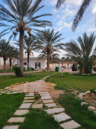 a garden with palm trees and a walkway at Garden12 Outdoor & More in Douz