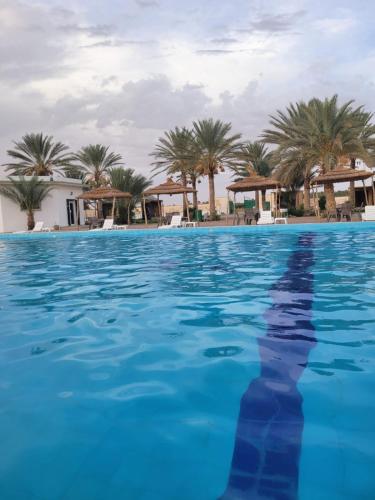a pool at a resort with palm trees at Garden12 Outdoor & More in Douz