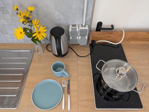 a counter top with a pot on a stove with flowers at Hof Zürnens Oase in Wolfegg