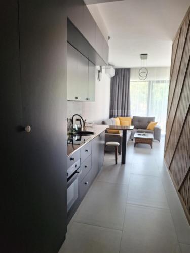 Kuchyň nebo kuchyňský kout v ubytování Sea breez Park Residence 1