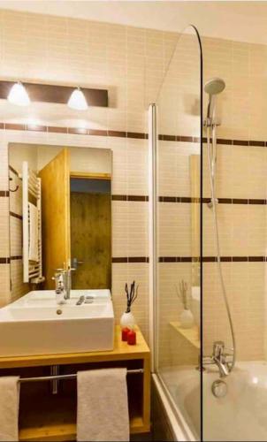 une salle de bain avec un lavabo et une douche dans l'établissement Chalet Champagne et Montagne C201, à Montchavin