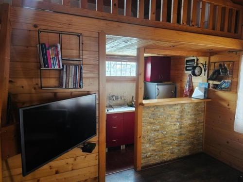 a living room with a flat screen tv in a cabin at Splav na Savi in Ostružnica