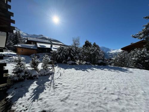Hautes Cimes 113 - Verbier