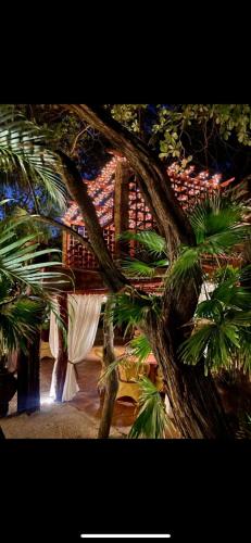 a palm tree with a white curtain in front of a building at Locanda Samara Beach in Sámara