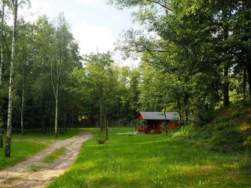 a dirt road leading to a cabin in the woods at Ranczo w Dolinie Biskupice in Gorz