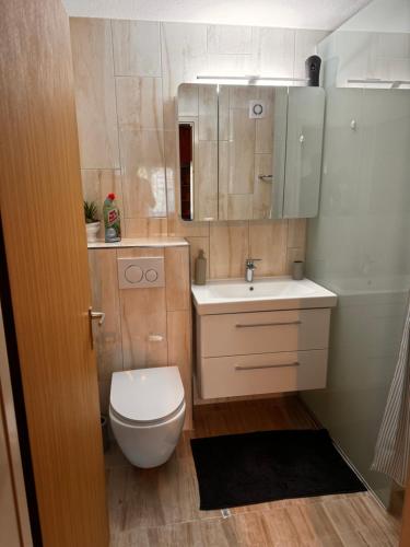 a small bathroom with a toilet and a sink at Aarons Apartment in Chur