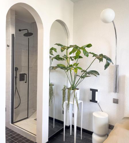 La salle de bains est pourvue d'une douche et d'un vase avec une plante. dans l'établissement Les Alcoves - Studios design, à Villers-Cotterêts
