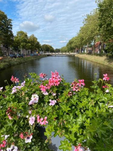 vistas a un río con flores rosas en Kromme weele 26, en Middelburg