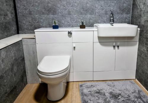 2 Bed Entire House London Zaftastic Stays Tooting photo 12