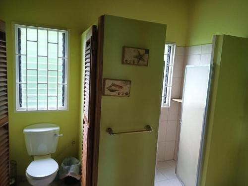 a green bathroom with a toilet and a shower at Paradise Point Villas in Castara