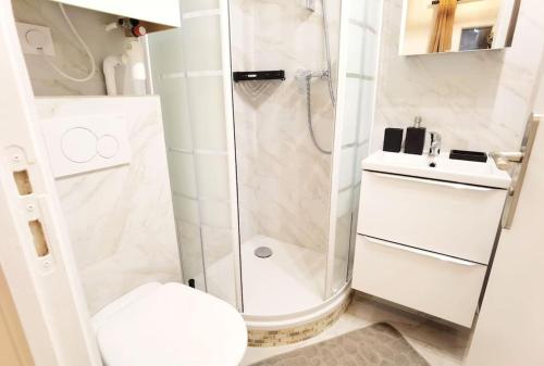 a bathroom with a shower and a toilet and a sink at New renoveted studio in calm area near nation in Paris